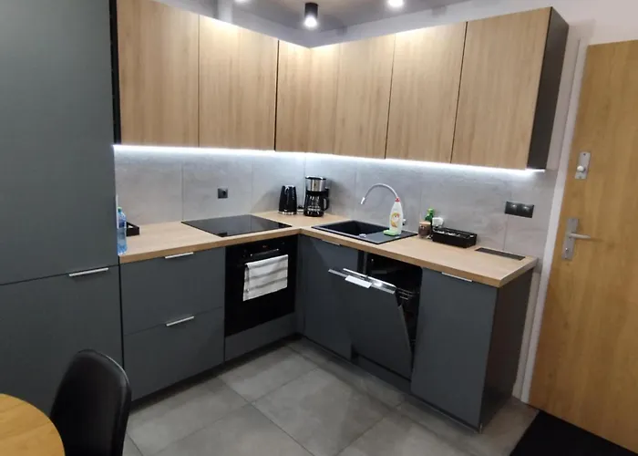 Mieszkanie W Nowoczesnym Halo Apartament W Centrum