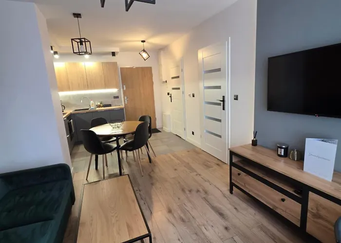 Mieszkanie W Nowoczesnym Halo Apartament W Centrum